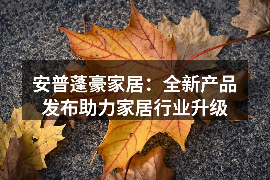 安普蓬豪新品发布会现场